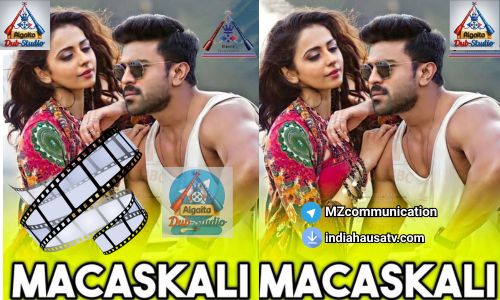 MACHASKALI FASSARAR ALGAITA